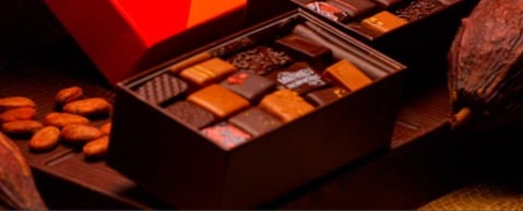 mathieu chocolatier histoire 2